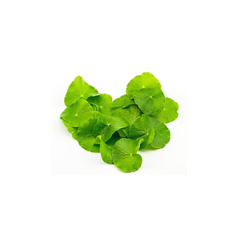 gotu kola gotu kola