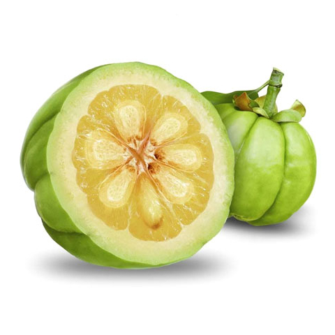 Garcinia Cambogia Garcinia Cambogia