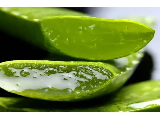 Aloe vera