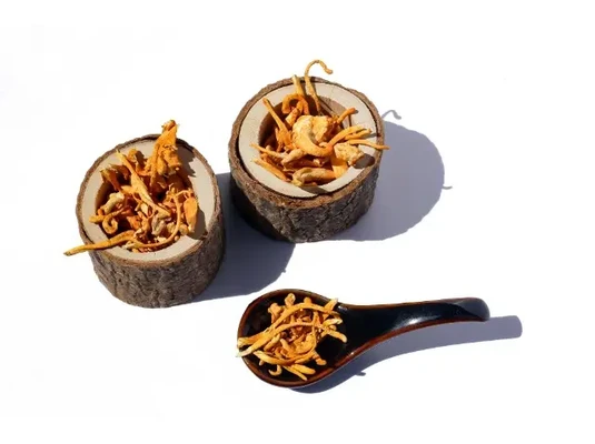 Cordyceps