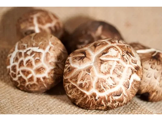Shiitake gomba