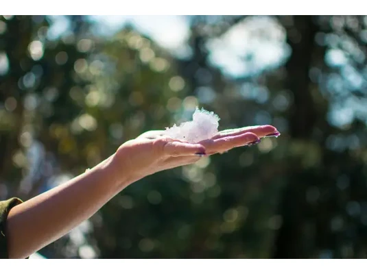 Körömvirág krém száraz kézre