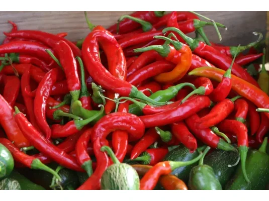Cayenne bors
