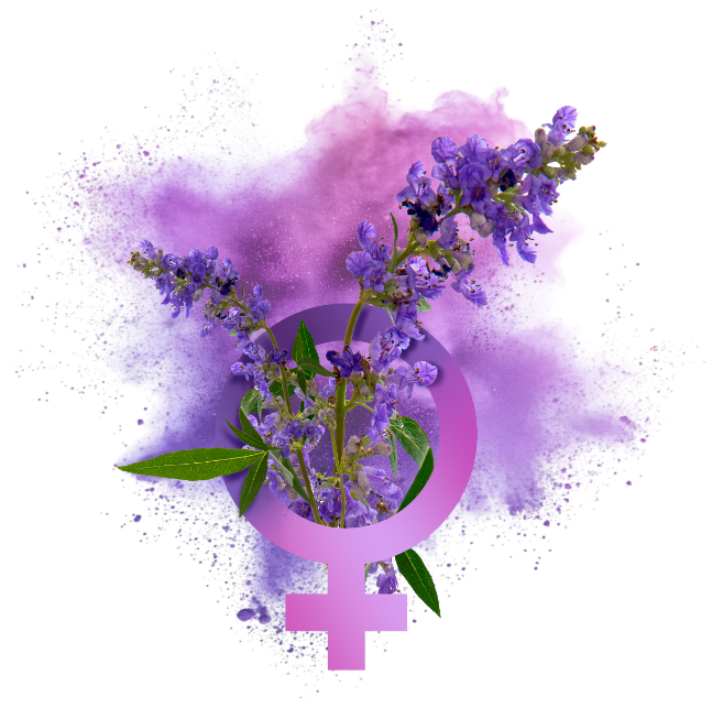 NT BARÁTCSERJE MAX - maximális mennyiségű barátcserje és bioaktív B6-vitamin 60db