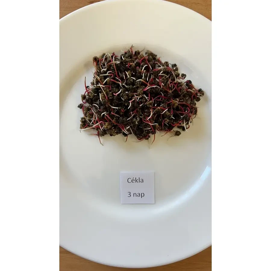 Dénes Natura Cékla csíráztatásra 200 g