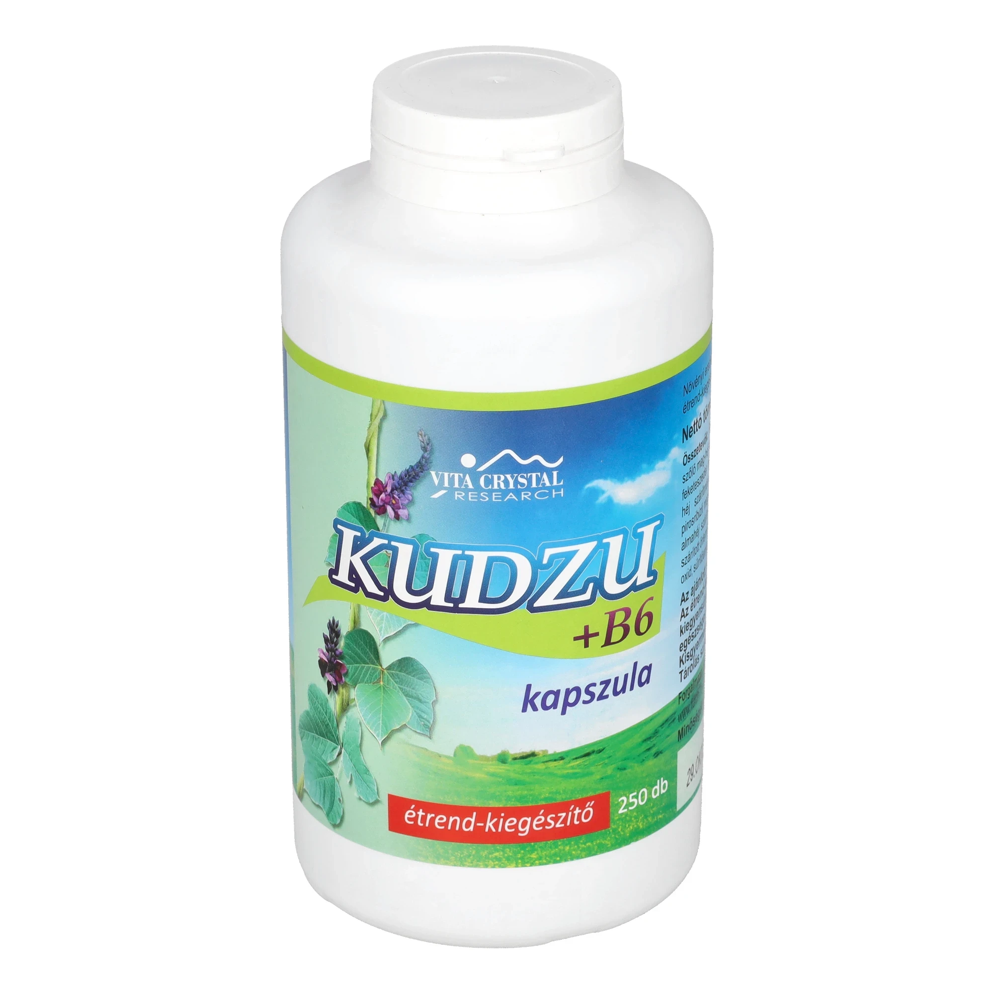 Flavin Kudzu+B6 250db