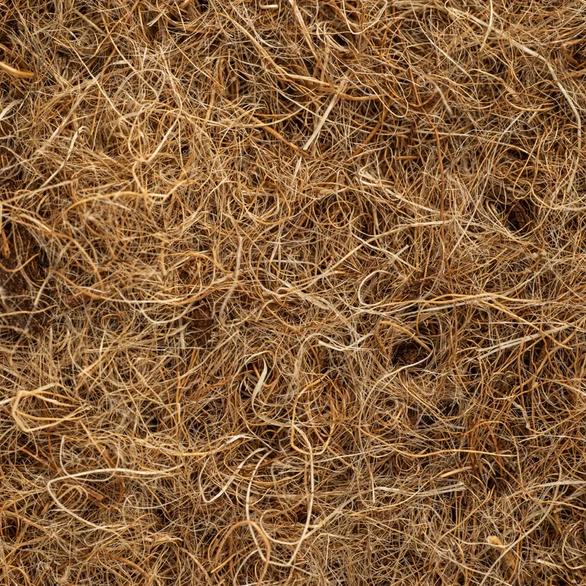 Legeldle Kókuszrostlap 10 db-os