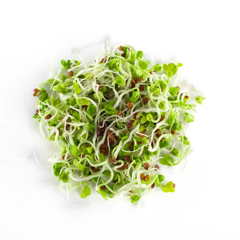 Legeldle Daikon Retek 150 g csíramag