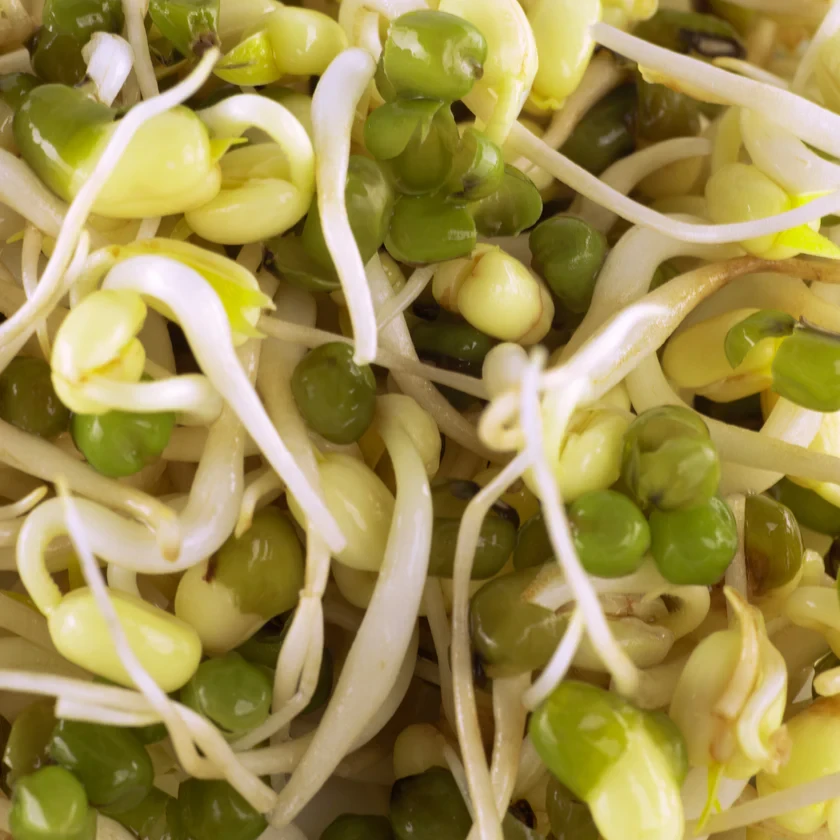 Legeldle Mungóbab 1000 g csíramag