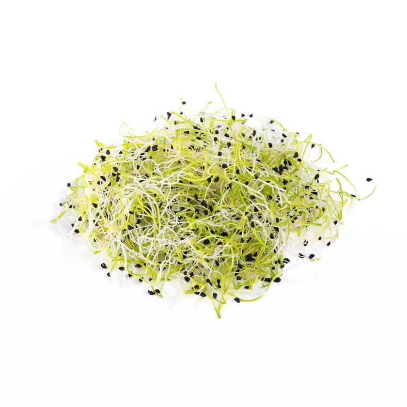 Legeldle Póréhagyma 50 g csíramag