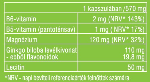 Bilomag PLUS 110 mg Ginkgo biloba 60db kapszula