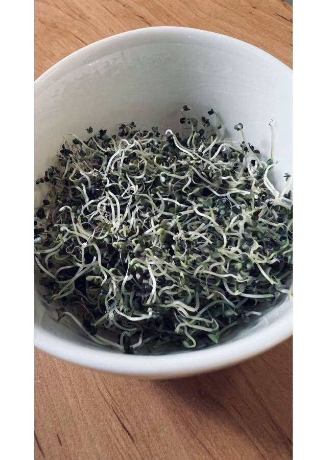 Mizuna-vörös csíráztatásra 200 g