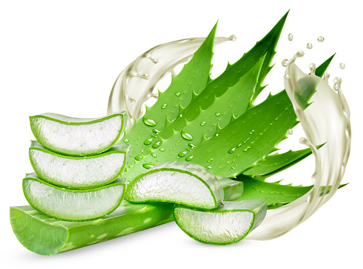 NT Aloe vera natur 1L