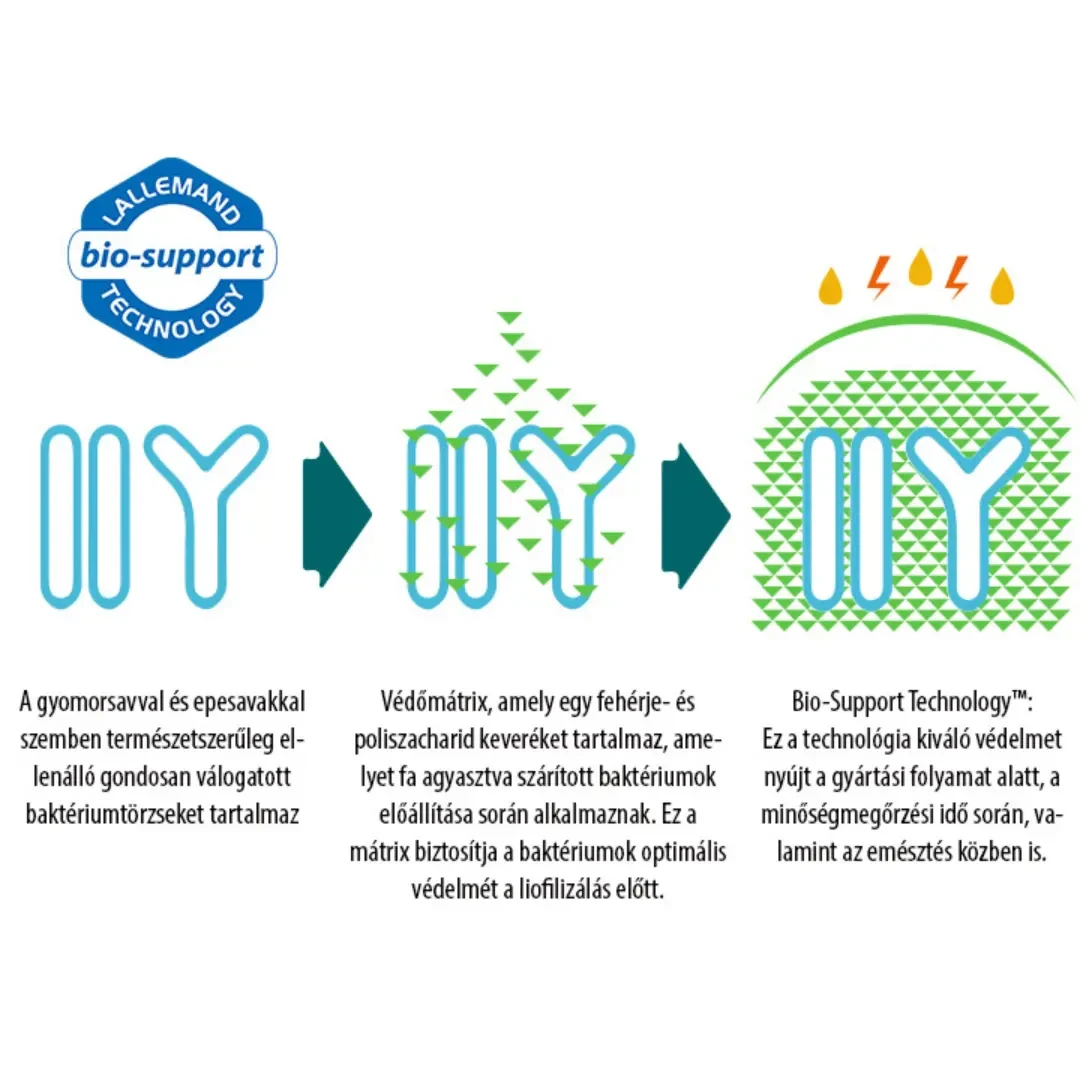 NT P-BIOTIKUM baktériumtörzsek (CEREBIOME®) + B6-vitamin 30db