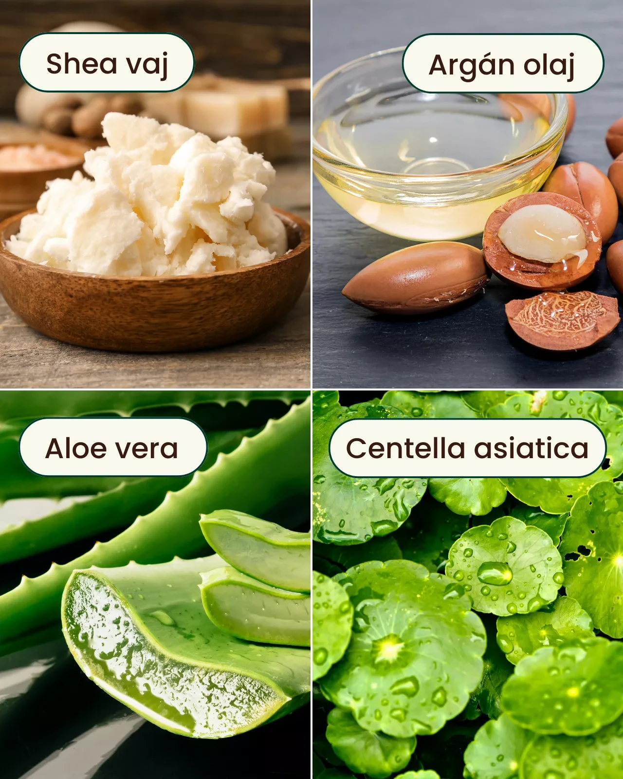 Pranagarden Hidratáló kézkrém shea vajjal és argánolajjal 45g