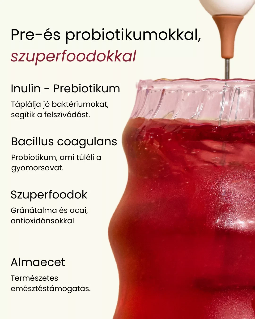 Pranagarden Pranabelly magas rosttartalmú bélflóra támogató pre-probiotikus víz italpor acai és gránátalma- 100g