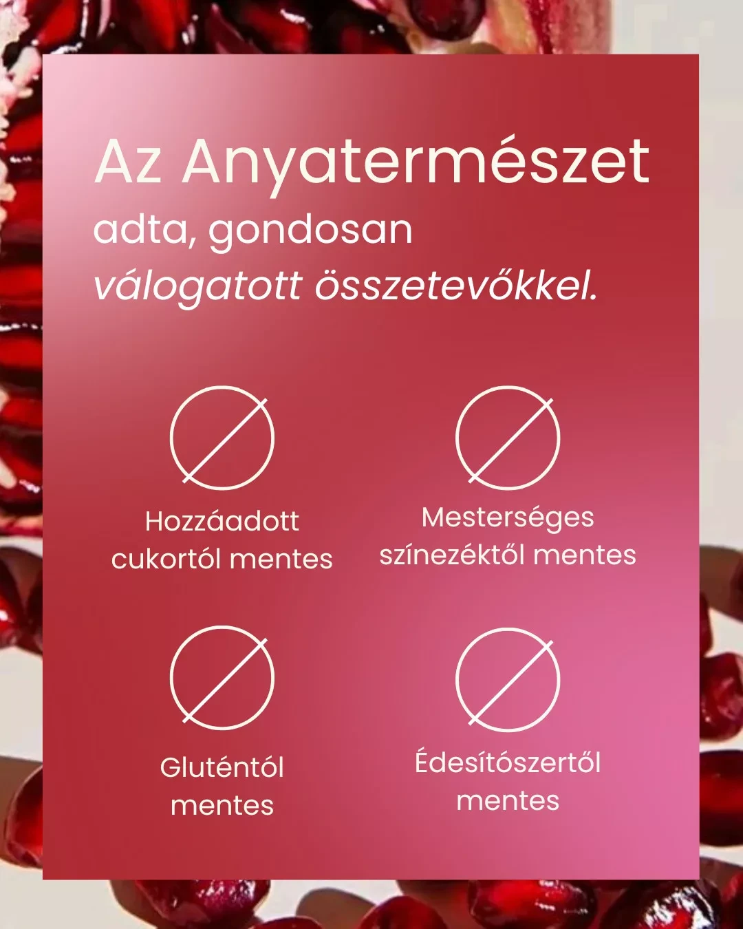 Pranagarden Pranabelly magas rosttartalmú bélflóra támogató pre-probiotikus víz italpor acai és gránátalma- 100g