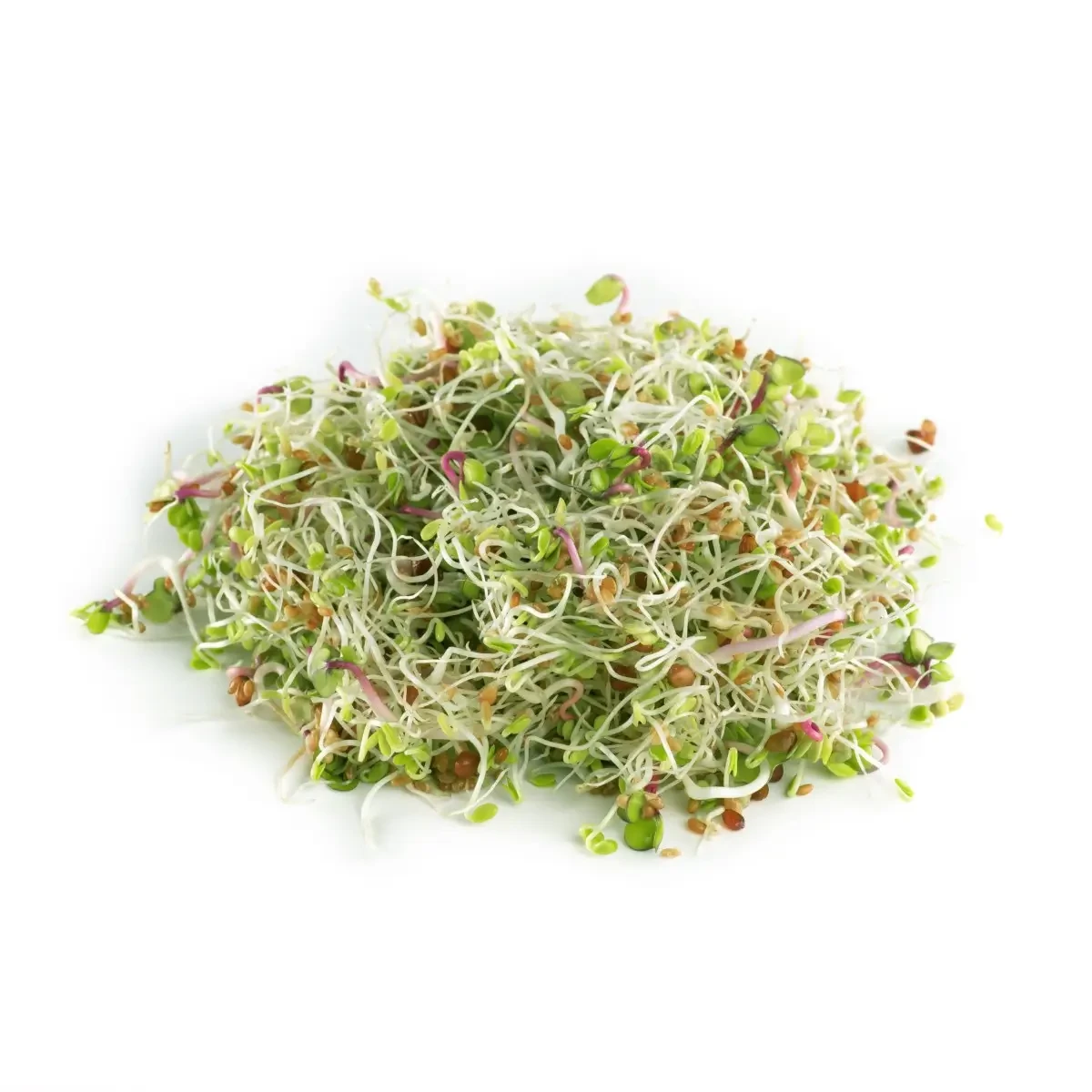 Legelde Szendvics Mix 150 g csíramagkeverék