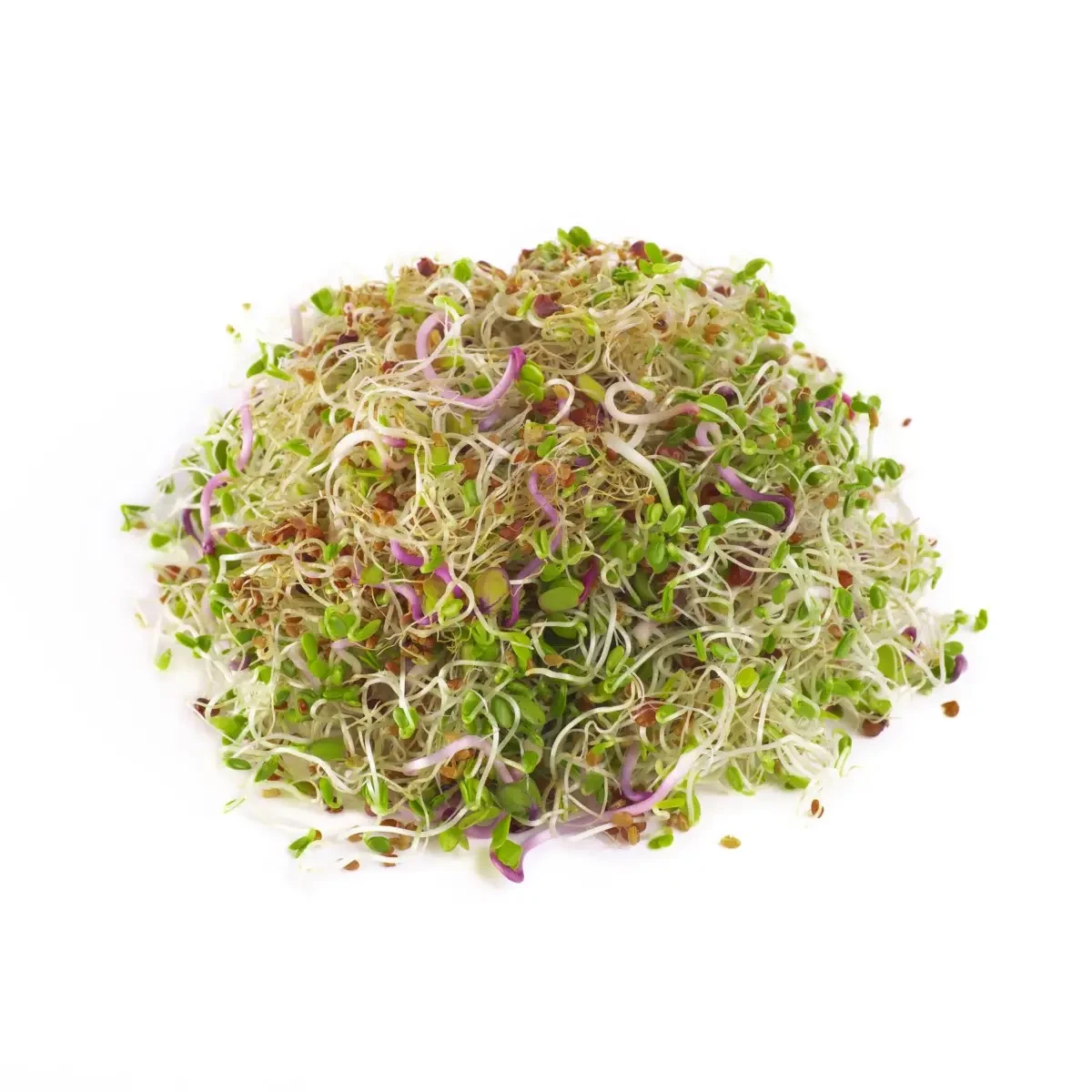 Legelde Szendvics Mix 150 g csíramagkeverék