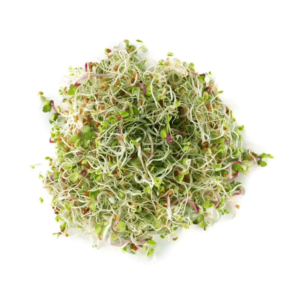 Legelde Szendvics Mix 500 g csíramagkeverék