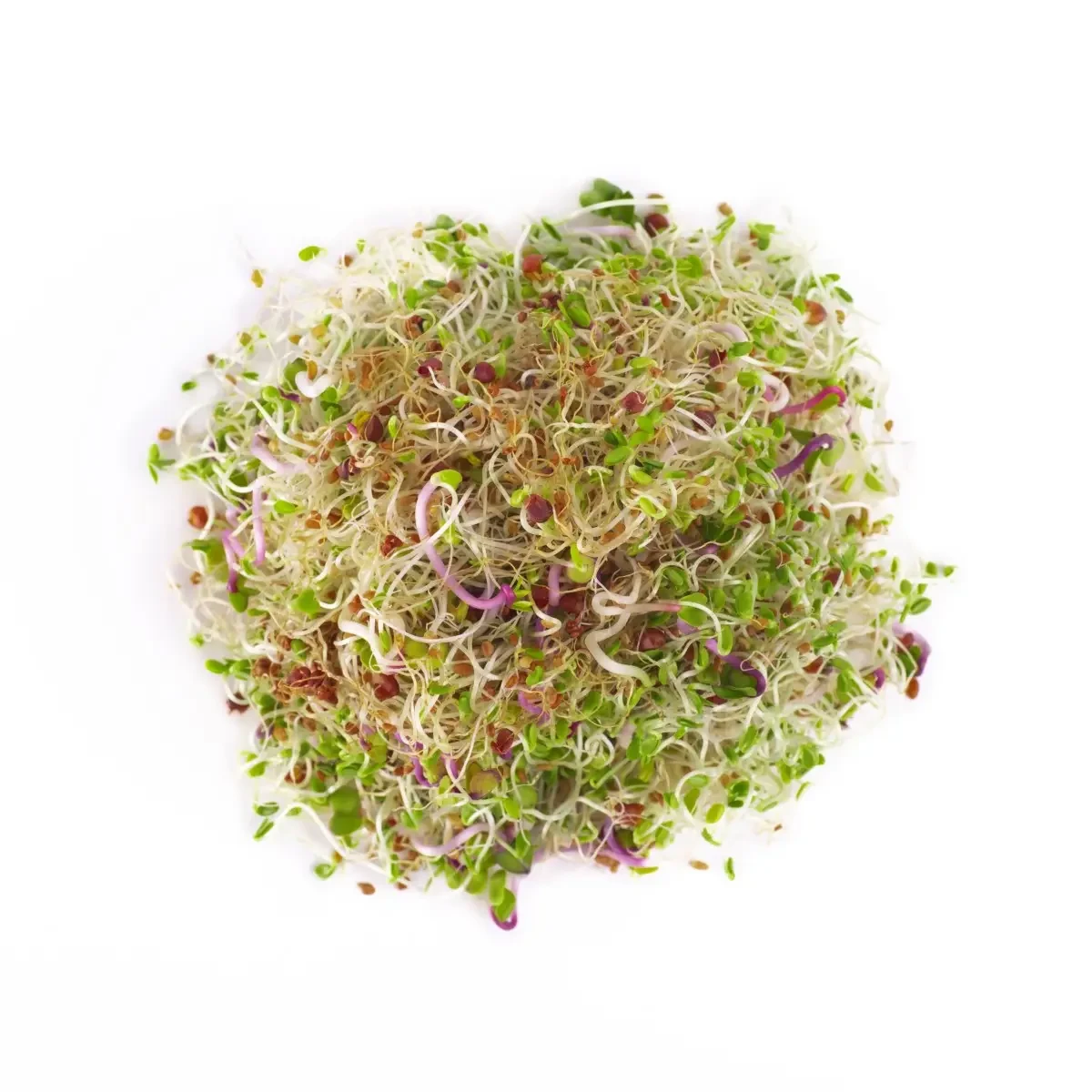 Legelde Szendvics Mix 500 g csíramagkeverék