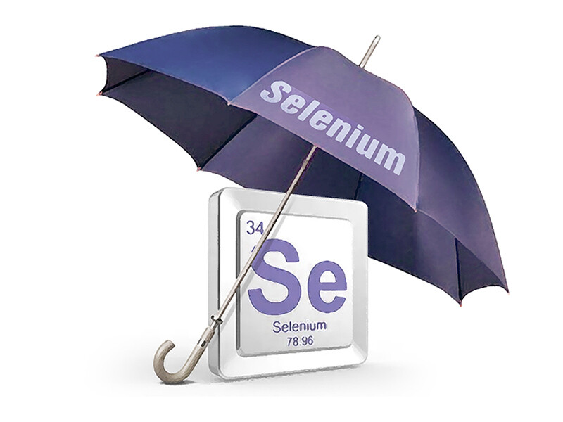 NT SZERVES SZELÉN – Jól hasznosuló, organikus L-szelenometionin forma  60db