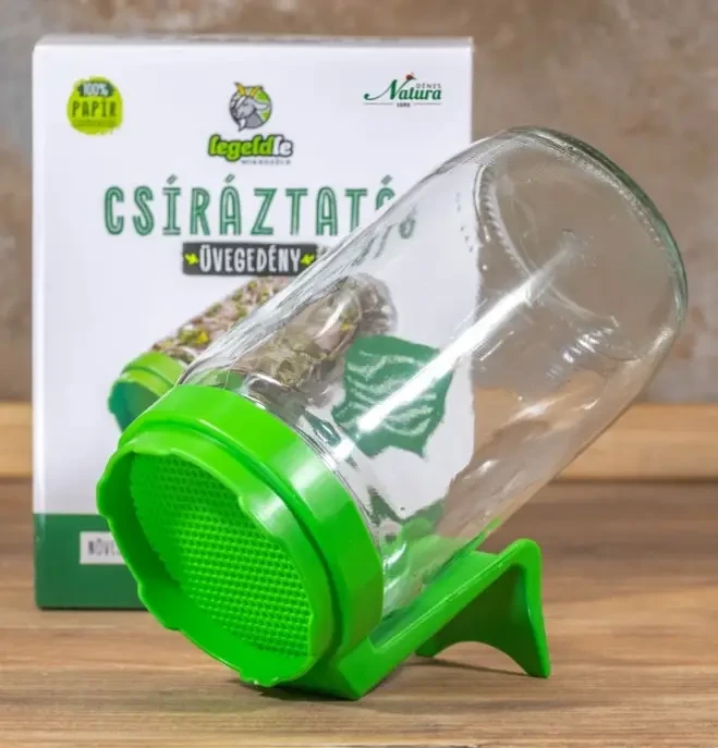 Csíráztató üvegedény zöld kupakkal 1db
