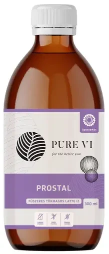 Pure Vi Prostal - fűszeres-tökmagos latte íz / 300 ml