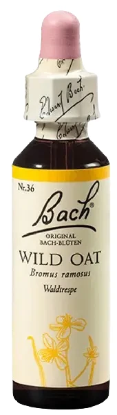 Bach-virág eszencia Nr. 36 - Ágas rozsnok (Wild oat) 20ml