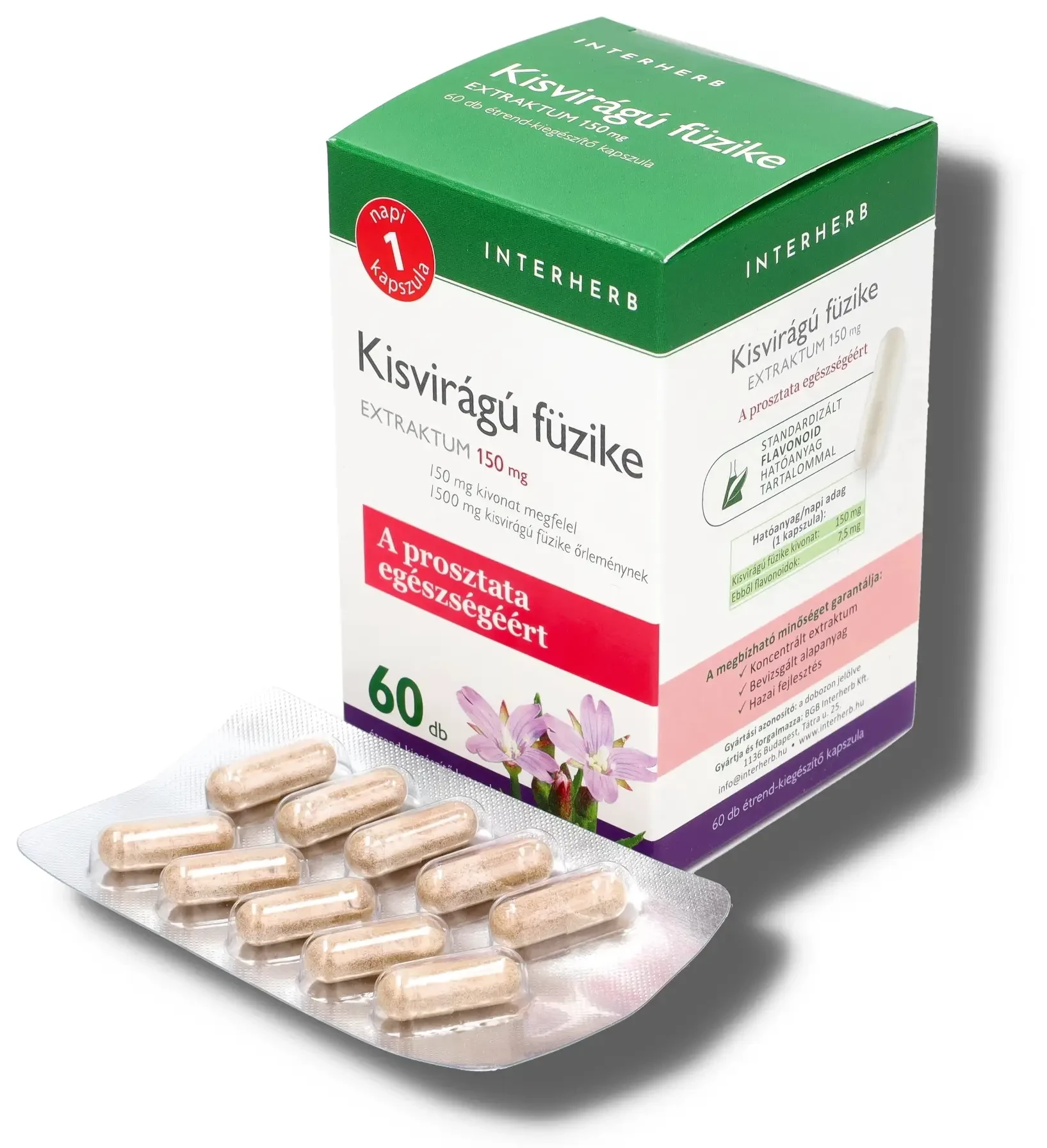 Interherb NAPI1 Kisvirágú füzike Extraktum 60db