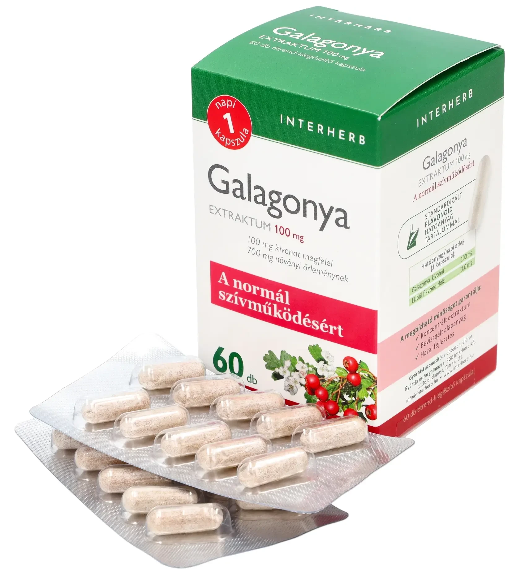 Interherb Galagonya Extraktum 60db