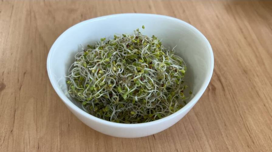 Vajrépa csíráztatásra 200 g