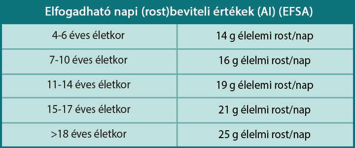 NT Vegán bélradír plus 480ml