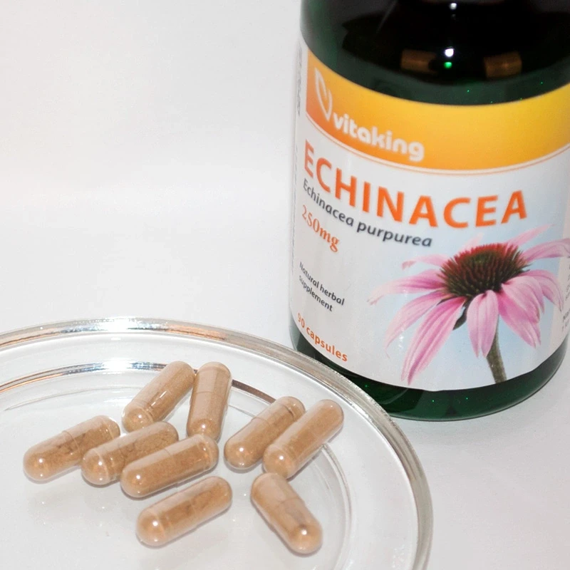 VK Echinacea Bíbor kasvirág kapszula 90db