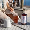 SAPINCA 495ml Fruit Bio elixir