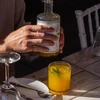 SAPINCA 495ml ROOT Bio elixir