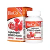 BioCo Retard C-500 csipkebogyós 100db