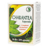 Charan tea 500 mg 50 db kapszula (Dr.Chen)