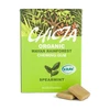 Chicza Bio Rágógumi Menta 30 g