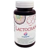 Freyagena Áfonya Lactocran Kapszula 50 db