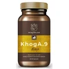 Myrobalan KhogA.9 gyomorégés, reflux elleni gyógynövény-komplex 60db