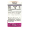 JutaVit Magnézium 375mg+B6 60db
