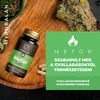 Myrobalan MeTor gyulladáscsökkentő gyógynövény-komplex 2x60db