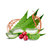 NT Aloevera áfonyás 1L