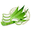 NT Aloe vera natur 1L