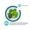 NT  Lutein Pro szemvitamin – mikrokapszulázott szabad lutein + 7 féle tápanyag 54db