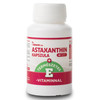 Netamin Astaxanthin kapszula Természetes E-vitaminnal 30db