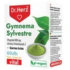 Dr. Herz Gymnema Sylvestre 160mg + Szerves króm 60 db