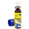 Bach Rescue® Night Spray 20 ml