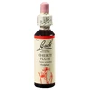 Bach-virág eszencia Nr. 6 - Cseresznyeszilva (Cherry Plum) 20ml